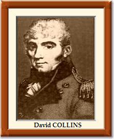 David COLLINS